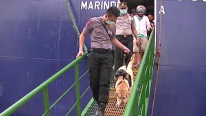 K-9 menyisir bagian-bagian kapal yang baru tiba di Pelabuhan Samarinda