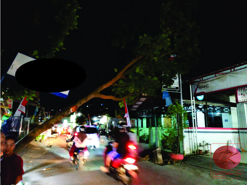 Ditabrak Truk  Box  Sebatang Pohon Tumbang Detak Kaltim