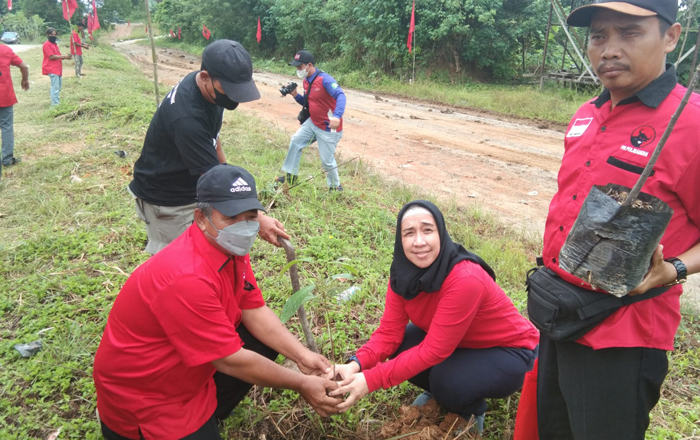 Merayakan HUT Ke-75 Ketua Umum PDI Perjuangan Megawai Soekarnoputri, kader dan Pengurus DPD PDI Perjuangan Kaltim menanam 260 bibit pohon. (foto : Exclusive)