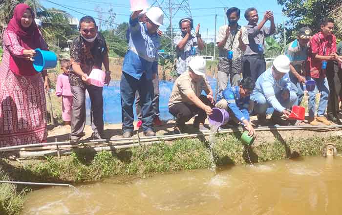 Kegiatan peluncuran perdana program pemberdayaan dan pendampingan Budidaya Ikan Nila Apical Group yang berkolaborasi Karang Taruna di Kariangau. (foto : Exclusive)
