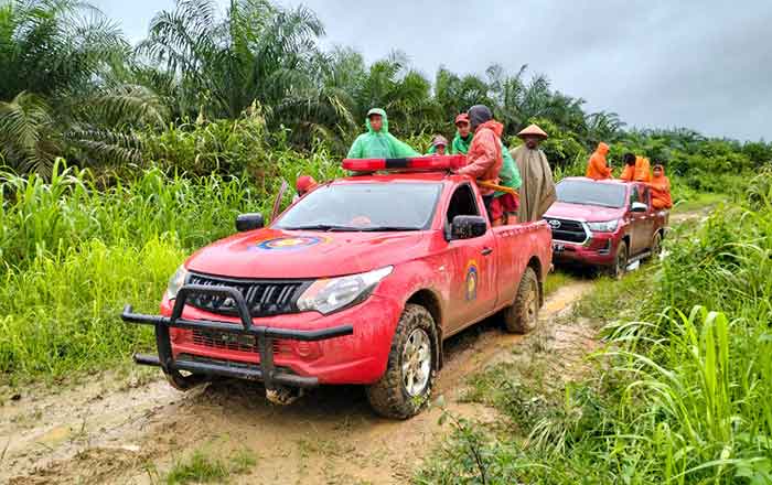 Tim SAR Gabungan juga melakukan pencarian di sekitar wilayah Perkebunan Kelapa Sawit. (foto : TIM SAR)