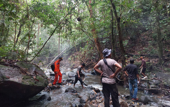 Tim SAR Gabungan mencari Cornelius Potu di dalam hutan. (foto: Tim SAR)
