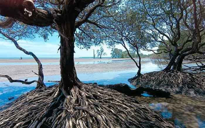 Pantai Teluk Lingga yang memiliki daya tarik tersendiri karena keindahannya saat air laut surut (Dok.Hms)