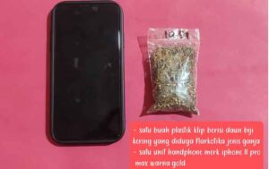 Narkotika jenis Ganja seberat 10,54 Gram/Bruto ditemukan di Lemarin Pakaian Tersangka RM. (foto: Exclusive)